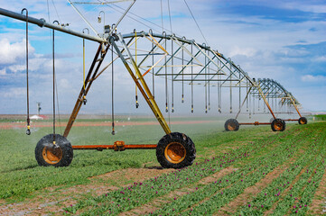 Agriculture modern irrigation machine on a farm field