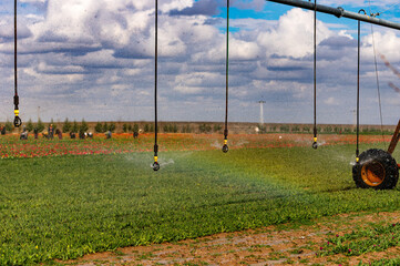 Agriculture modern irrigation machine on a farm field