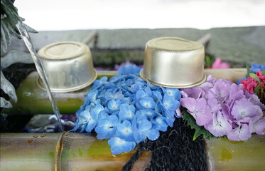 手水舎に飾られた紫陽花