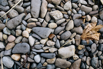 Many small stones. Beach with stones and green grass. Pebble stones. 