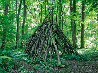 Survival shelter in the woods made from tree branches.