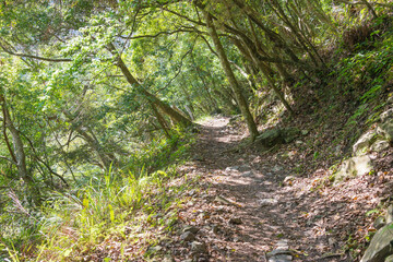 Zhuilu Old Road in Taroko National Park, Xiulin, Hualien, Taiwan.