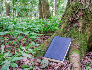 A book with a black leather cover next to a tree covered with green moss.