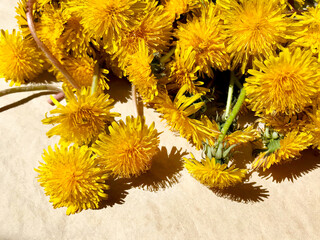 Floral background - yellow dandelion flowers.
