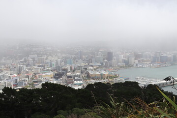 Paysage urbain sous la brume à Wellington, Nouvelle Zélande
