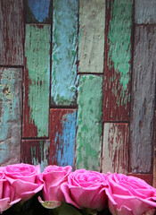Pink roses on a wooden background