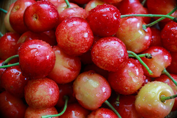 delicious juicy cherries in drops of water