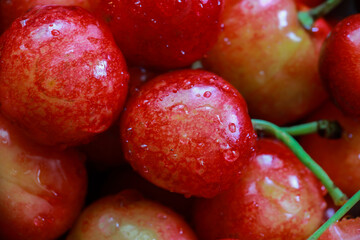 delicious juicy cherries in drops of water