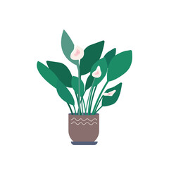 Calla cartoon vector illustration