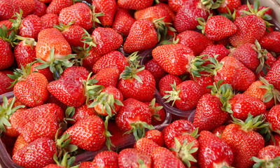 fresh strawberries in a market