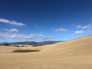 Fototapeta na wymiar Sand dunes of Maspalomas