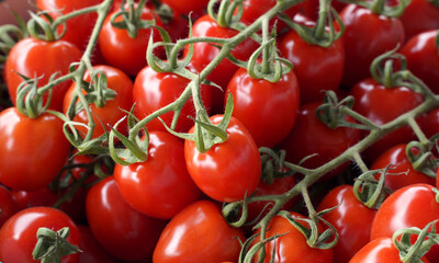 cherry tomatoes on the vine