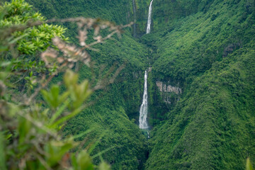 Tropical cascade in Reunion Island © TETEN PROD