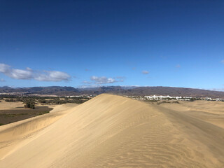 Fototapeta na wymiar The sand dunes of Maspalomas