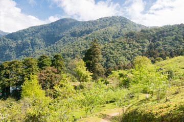 Beautiful scenic view from Dali Trail in Taroko National Park, Xiulin, Hualien, Taiwan.