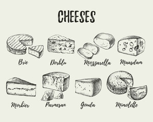 Hand drawn sketch cheese types set. Vector illustration of natural foods
