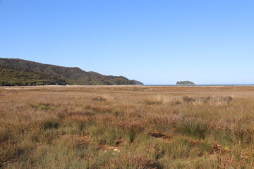 Marais du parc Abel Tasman, Nouvelle Zélande	