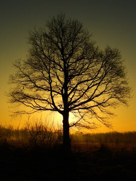 Fototapeta wschód słońca