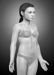 Naklejka premium 3d rendered illustration of the young Girl body