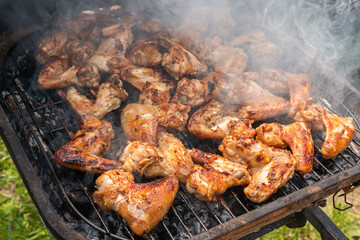 A lot of tasty, delicious, savoury meet (chicken wings) with pleasant odor and meat haze on the grill in the village