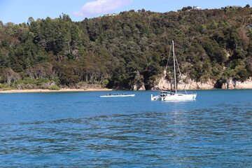 Fototapeta na wymiar Voilier dans la baie du parc Abel Tasman, Nouvelle Zélande 