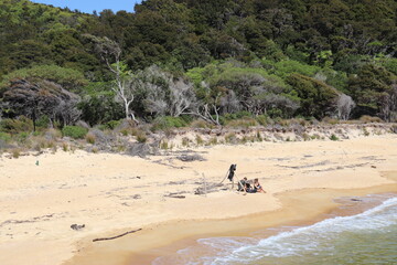 Plage du parc Abel Tasman, Nouvelle Zélande