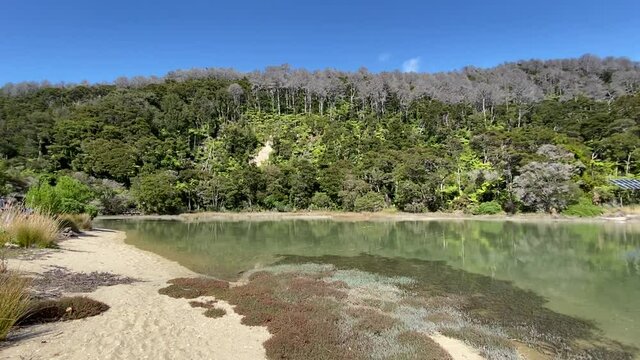 Plage du parc Abel Tasman, Nouvelle Z&eacute;lande