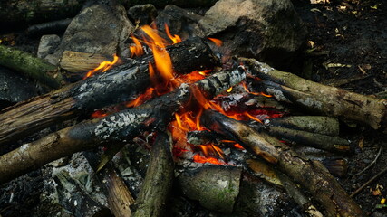 Campfire in forest, Camping in nature