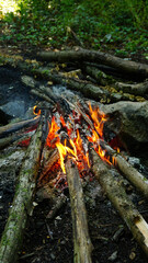 Campfire in forest, Camping in nature