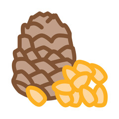 pine nut icon vector. pine nut sign. color symbol illustration