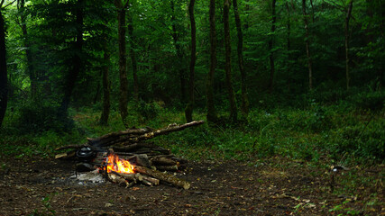 Campfire in forest, Camping in nature