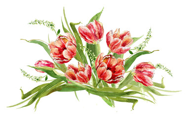 Bouquet of red tulips, watercolor painting composition.