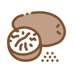 nutmeg nut icon vector. nutmeg nut sign. color symbol illustration