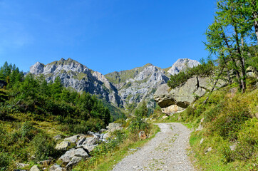 Hiking path to the mountain Monte Peralba