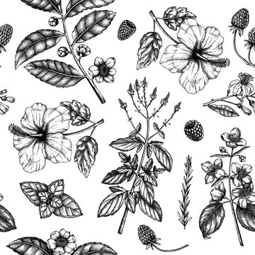 Herbal tea seamless pattern. Hand sketched fruits, herbs, flowers, berries, leaves backdrop. Vector botanical illustration. 