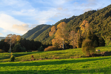 Fototapeta na wymiar Autumn landscape at the base of a range of mountains. Photographed in the Kaimai Range, Waikato Region, New Zealand