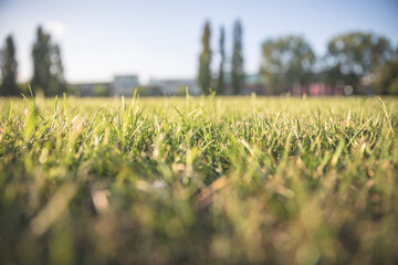 Gemähte grüne Wiese, Industriegebäude im Hintergrund