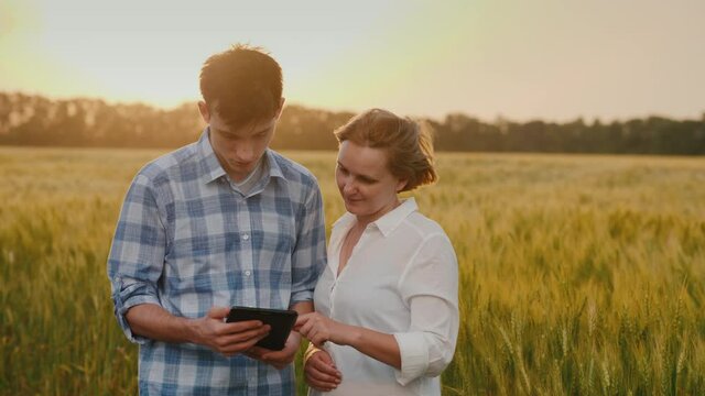 A man and a woman in the background of a field of wheat, where a strong wind and a thunderstorm begins. Use a tablet