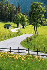 Scenic view of an idyllic alpine pasture at the Schladminger Tauern mountain range near the Steirischer Bodensee, Schladming region, Styria, Austria