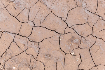 Dry cracked ground
