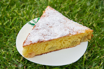 rhubarb pie,plate with rhubarb pie on the grass