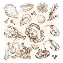 Hand drawn sketch illustrator with seafood set retro style. Salmon, octopus, oysters and shrimp
