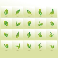 collection of leaf icon