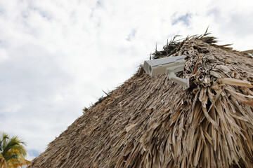 Security camera on the top roof bungalow from palm tree