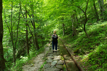 Obraz premium 気持ちいい遊歩道 付知峡