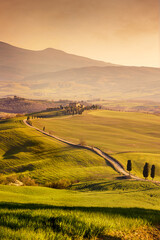 Rolling hills of Tuscany at sunset. Idyllic countyside of Val d'Orcia.