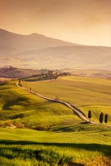 Photo sur Plexiglas Couleur miel Rolling hills of Tuscany at sunset. Idyllic countyside of Val d'Orcia.