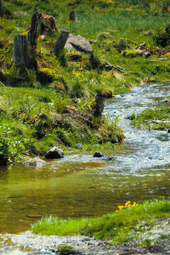 Scenic view of a stumpy countryside and a small pure creek rushing down the Schladminger Tauern mountains towards the "Steirischer Bodensee", Austria