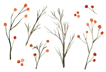 Watercolor set of tree branches with red berries. Hand-drawn christmas illustration isolated on the white background.