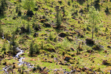 Scenic view of a stumpy countryside and a small pure creek rushing down the Schladminger Tauern mountains towards the 